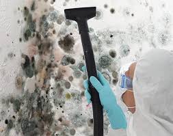 Best Airborne Mold Testing  in Hallandale Beach, FL